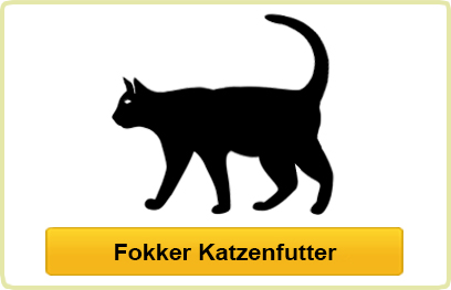 Fokker Katze